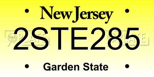 2STE285 New Jersey License Plate