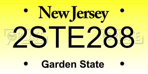 2STE288 New Jersey License Plate