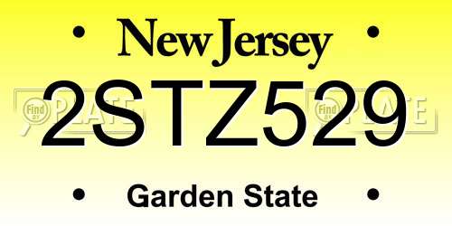 2STZ529 New Jersey License Plate
