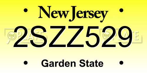 2SZZ529 New Jersey License Plate