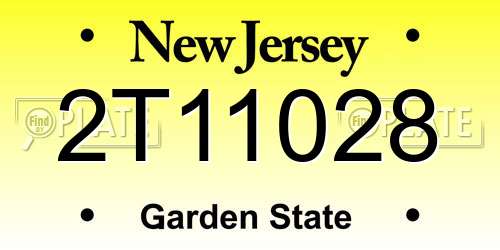 2T11028 New Jersey License Plate