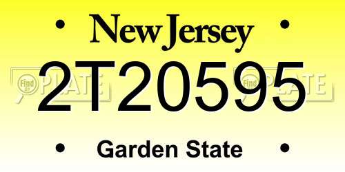 2T20595 New Jersey License Plate