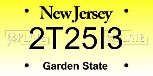 2T25I3 New Jersey License Plate