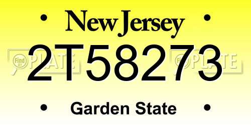 2T58273 New Jersey License Plate
