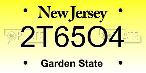 2T65O4 New Jersey License Plate