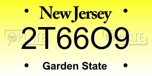 2T66O9 New Jersey License Plate