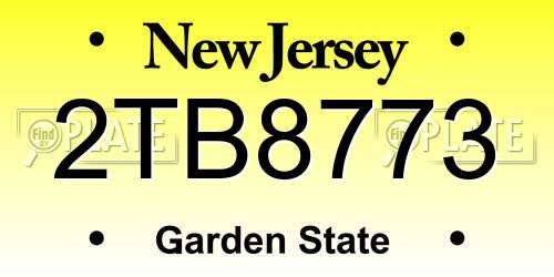 2TB8773 New Jersey License Plate