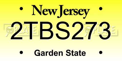 2TBS273 New Jersey License Plate