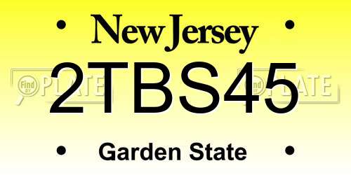 2TBS45 New Jersey License Plate