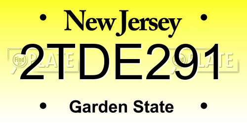 2TDE291 New Jersey License Plate