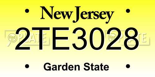 2TE3028 New Jersey License Plate