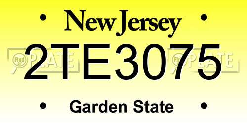 2TE3075 New Jersey License Plate