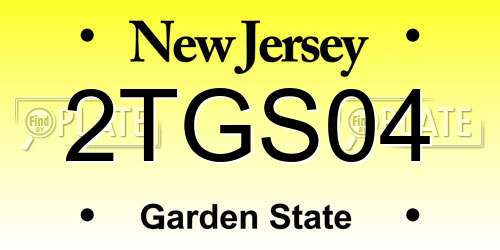 2TGS04 New Jersey License Plate