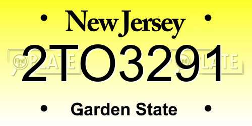 2TO3291 New Jersey License Plate