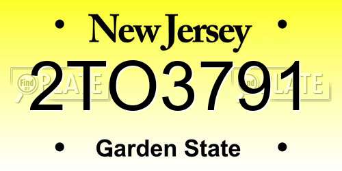 2TO3791 New Jersey License Plate