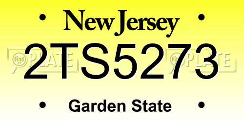 2TS5273 New Jersey License Plate