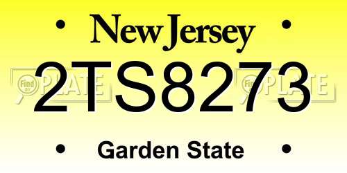 2TS8273 New Jersey License Plate