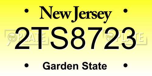 2TS8723 New Jersey License Plate