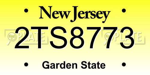 2TS8773 New Jersey License Plate