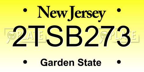 2TSB273 New Jersey License Plate