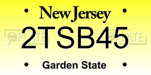 2TSB45 New Jersey License Plate