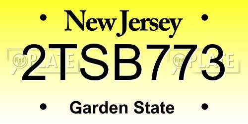 2TSB773 New Jersey License Plate