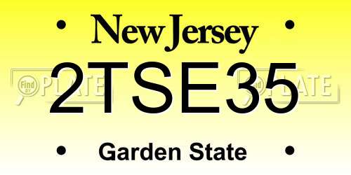 2TSE35 New Jersey License Plate
