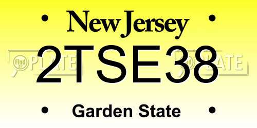 2TSE38 New Jersey License Plate