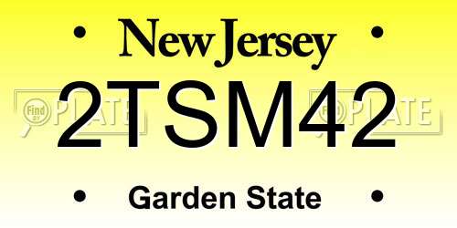 2TSM42 New Jersey License Plate