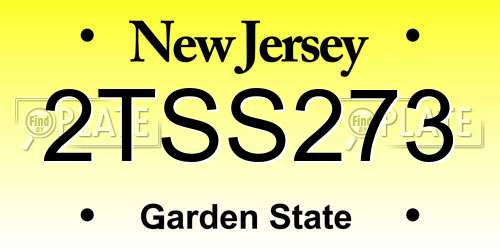 2TSS273 New Jersey License Plate