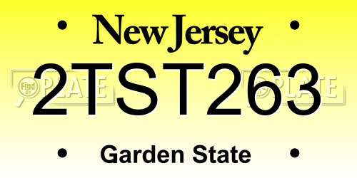 2TST263 New Jersey License Plate