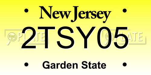 2TSY05 New Jersey License Plate