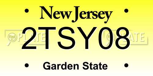2TSY08 New Jersey License Plate