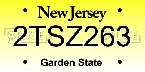 2TSZ263 New Jersey License Plate