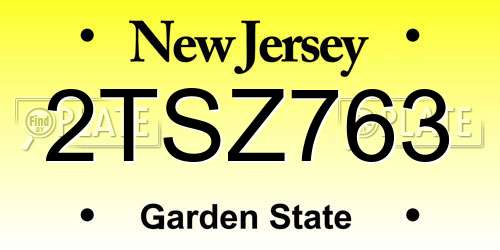 2TSZ763 New Jersey License Plate