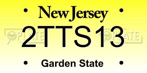 2TTS13 New Jersey License Plate
