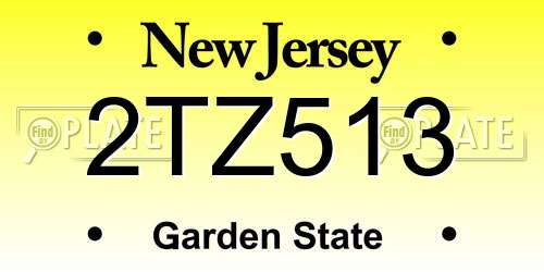 2TZ513 New Jersey License Plate