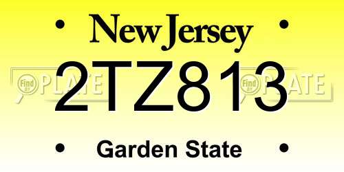 2TZ813 New Jersey License Plate