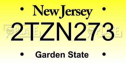 2TZN273 New Jersey License Plate