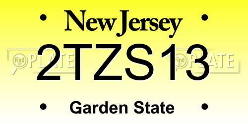 2TZS13 New Jersey License Plate