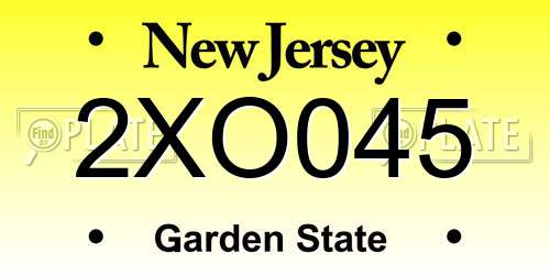 2XO045 New Jersey License Plate