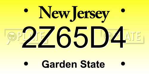 2Z65D4 New Jersey License Plate