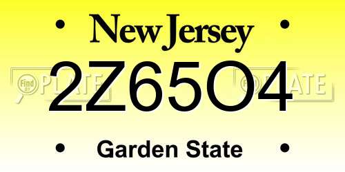2Z65O4 New Jersey License Plate