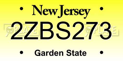 2ZBS273 New Jersey License Plate