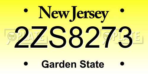 2ZS8273 New Jersey License Plate