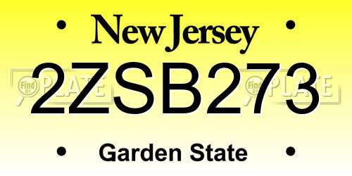 2ZSB273 New Jersey License Plate