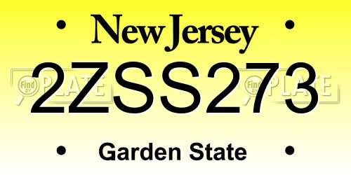 2ZSS273 New Jersey License Plate