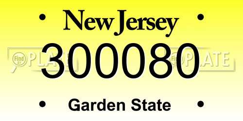 300080 New Jersey License Plate