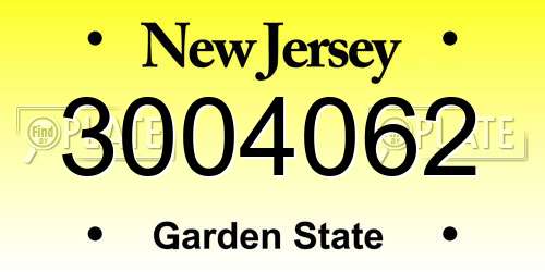 3004062 New Jersey License Plate