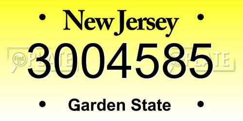 3004585 New Jersey License Plate
